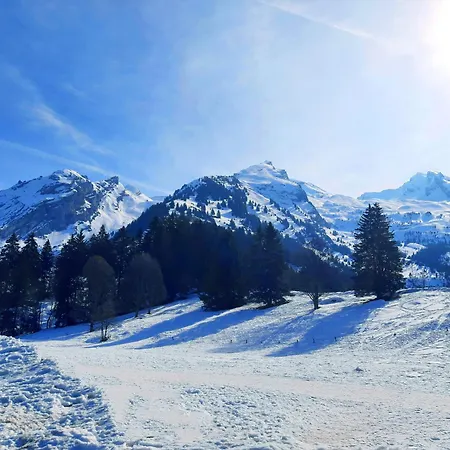 Apart Otel Azureva Les Aravis