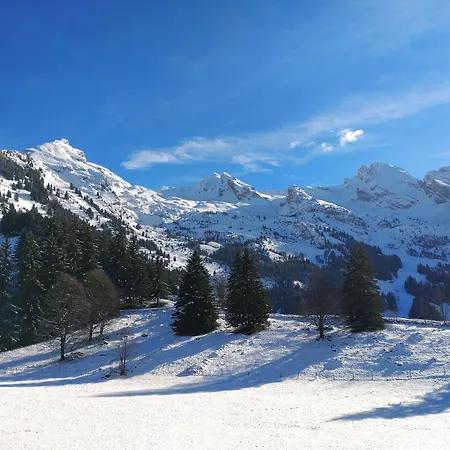 Azureva Les Aravis Hotel apartamentowy